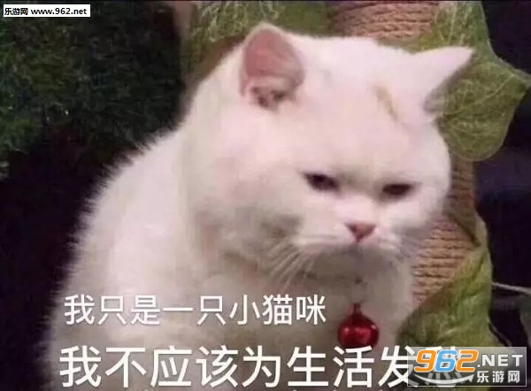 �Ҳ�������ʱ����ͼƬ��ͼ2