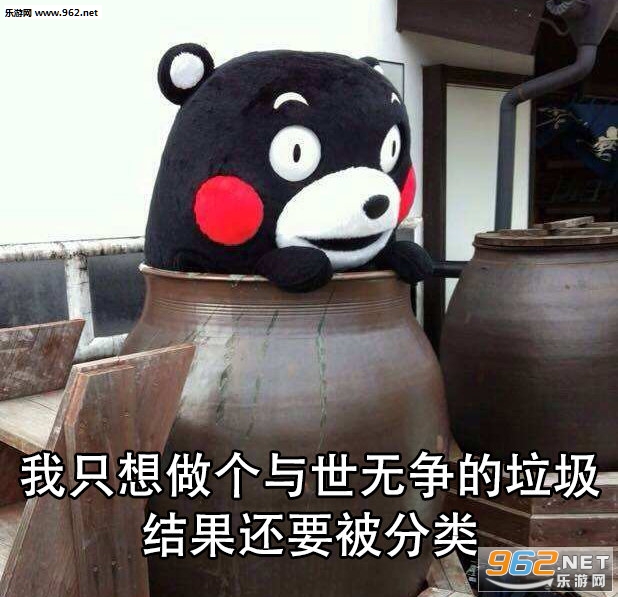���ҿ������Ǹ�ʲô�����������ͼ10