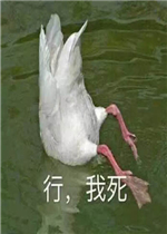 �ҿ����˱����