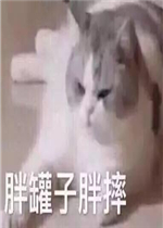�����Ͽ�ͼƬ�����