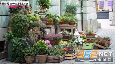 ����֮è�ٷ���v1.0��ͼ2