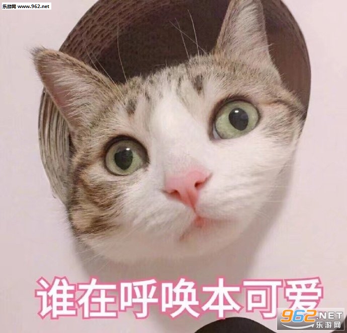 ˭�ں������ɰ��������ͼ1