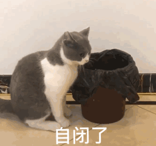 ���Ǹ�����ͼƬ��̬�������ͼ3