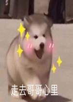 Ȱ�㲻Ҫ�����ұ����