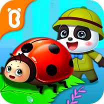 ���������ռ�app