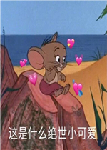 ����ʲô����С�ɰ������