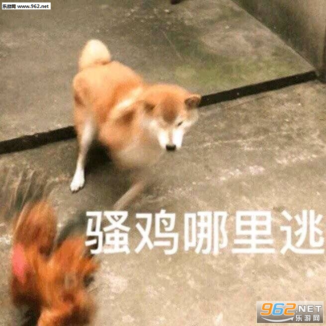 ����û�뵽Ҫ����΢Ц�������ͼ1