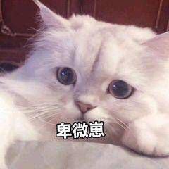 ��΢�̱����ͼƬ��ͼ3