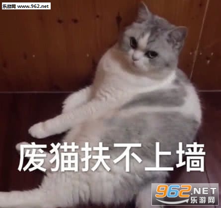 ����������Ư�������ͼƬ��ͼ5