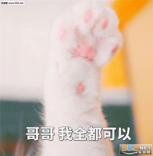 ����������Ư�������ͼƬ��ͼ6