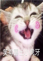 ���ֹ��������
