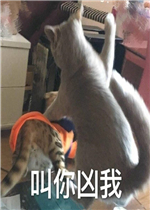 �������ұ����