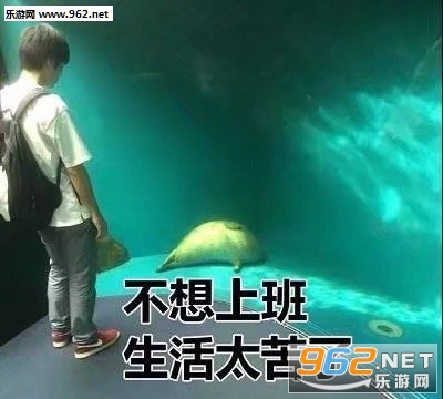 �˼�Ҫ��ô�����������ͼ4