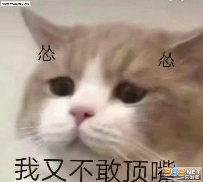�������ֲ��Ҷ���������ͼ8