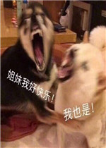 ���Ǳ����Ͻ�����