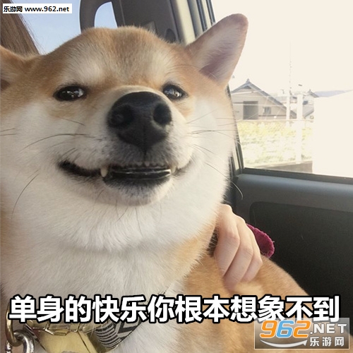 ��Ϧ�������������Ȯ��ͼ0