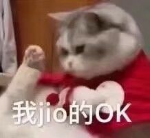 ��jio��ok�������ͼ0