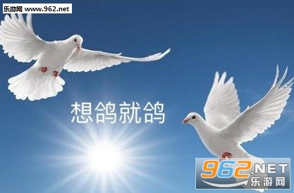 �����һ������쿪����������ͼ2