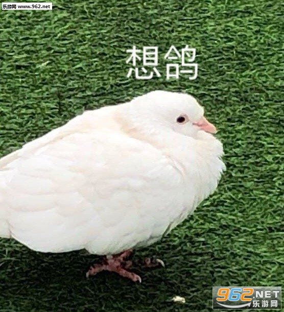 �����һ������쿪����������ͼ3