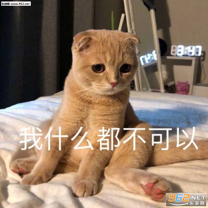 �Բ��������˱����ͼƬ��ͼ8