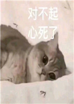 �Բ��������˱����ͼƬ