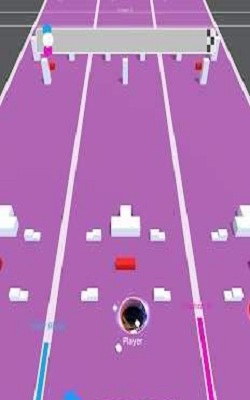 Hole Race 3D安卓版截图3
