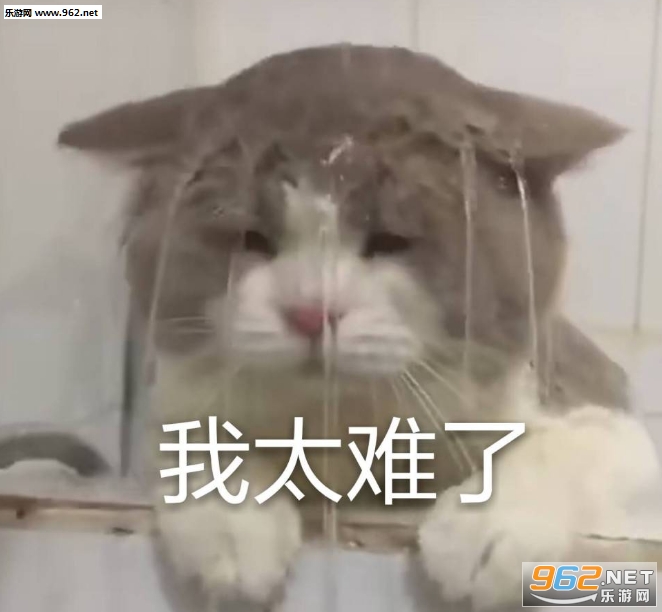 �˼Ҿ��ǲ��о��ǰ��޹��������ͼ4