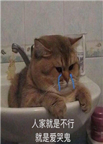 �˼Ҿ��ǲ��о��ǰ��޹������