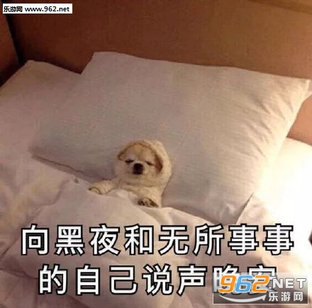 ��Ҳ��ѧ��ѧ���ֻ����Զ�������������������ͼ5