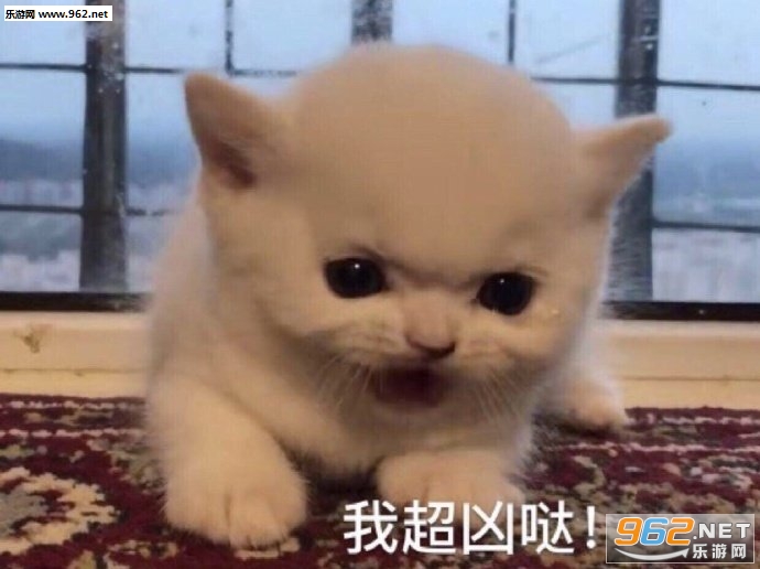 ��Ҳ��ѧ��ѧ���ֻ����Զ�������������������ͼ6