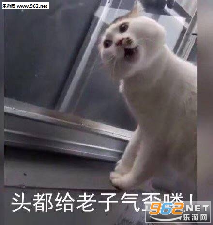 ͷ�������������˱������ͼ1