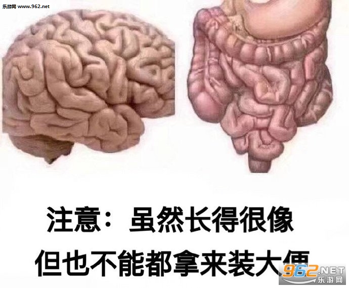 ͷ�������������˱������ͼ6