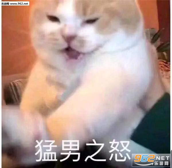 ������������Ч��������������ͼƬ��ͼ7