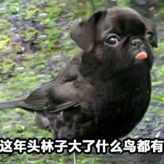 ���ڲ����ұ������ͼ0