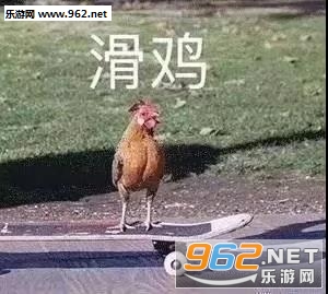 ����Ů��һ����Ҫ�輸�α������ͼ1