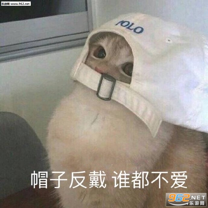 �������������������ͼ6