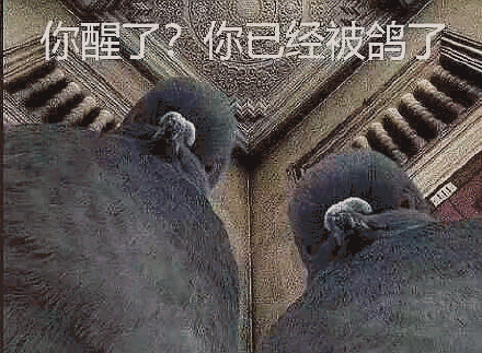 ���������Ѿ������˱������ͼ5