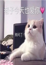 ����ȥ����һư�����
