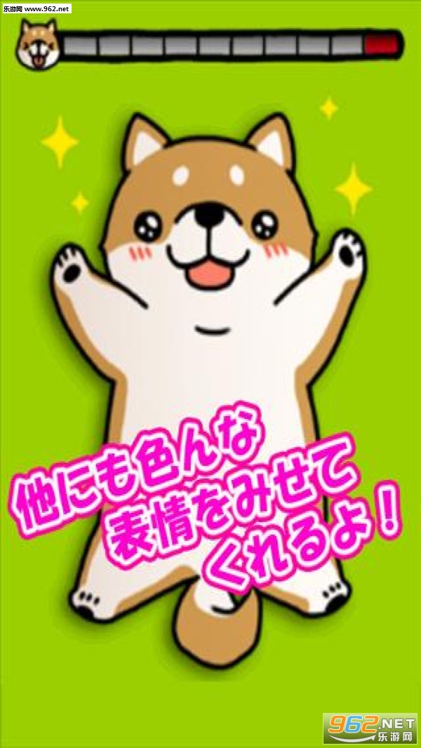 治愈萌柴犬安卓版截图1