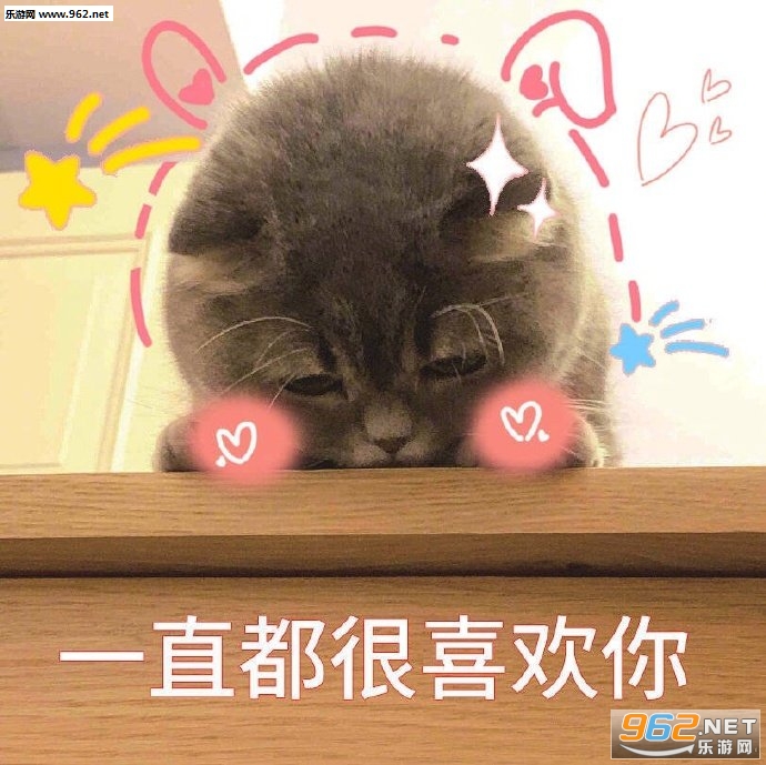 少和我来这套橘猫表情包 少和我来这套橘猫表情包