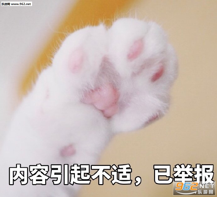 少和我来这套橘猫表情包 少和我来这套橘猫表情包