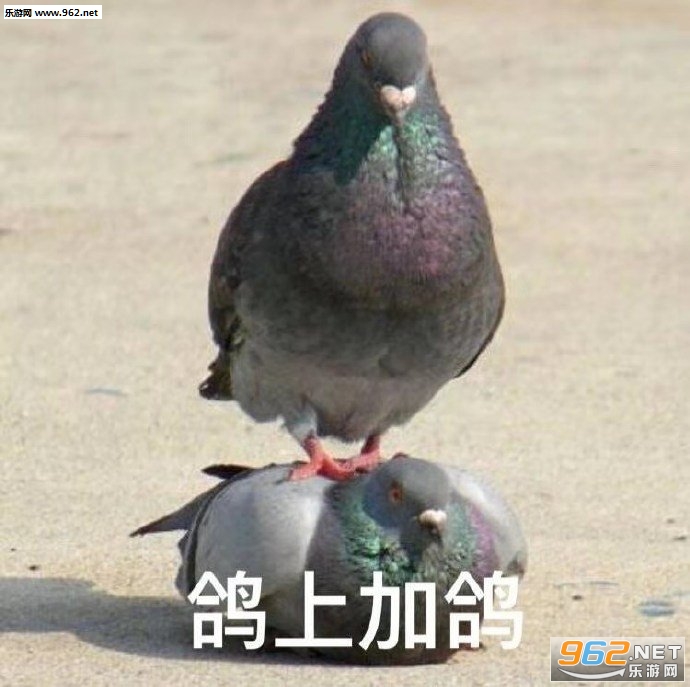 �����˱����