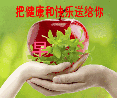 �ݰ������ڱ����