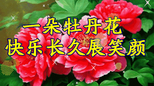 �ݰ������ڱ����