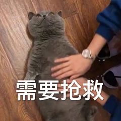 ����ʧ��ǿ����������