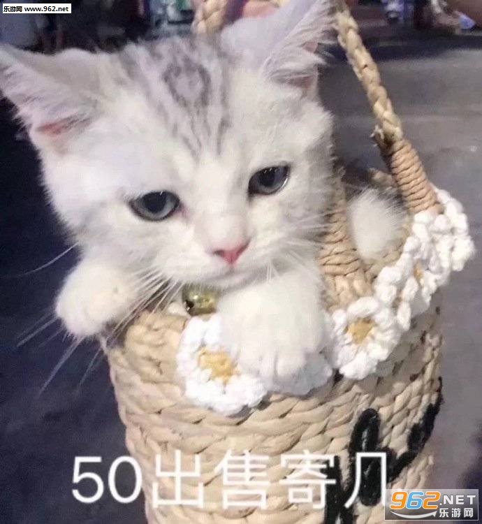����ʧ��ǿ����������
