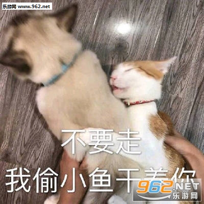 �����Զ�����˿�����������