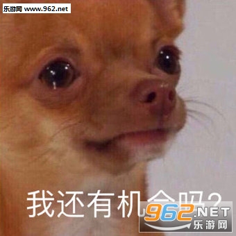 �����Զ�����˿�����������