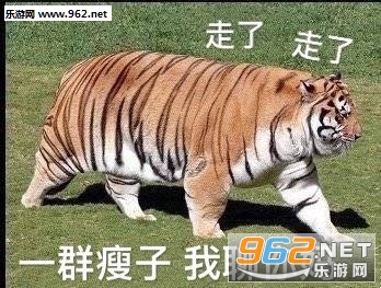 Ϊʲô�������Ӣ��С������