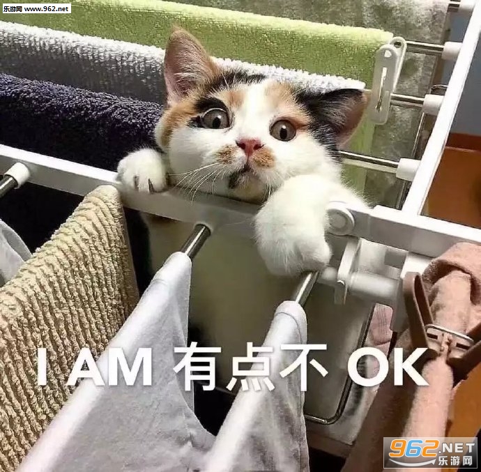 ����ҲŪһ�������